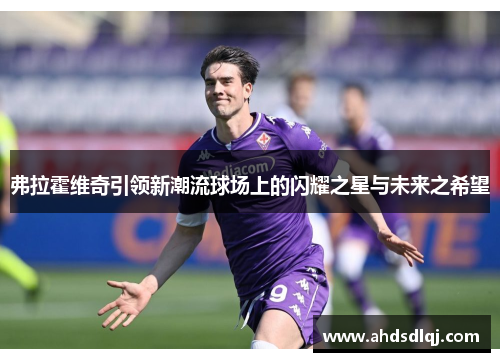 弗拉霍维奇引领新潮流球场上的闪耀之星与未来之希望